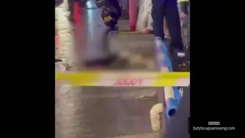 未来之星：国际球员的成长轨迹，体系下的独到见解